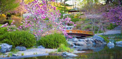 japanese garden