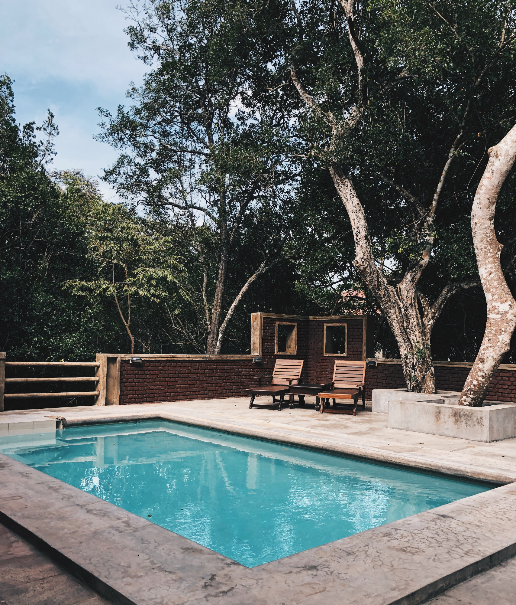 extérieur avec piscine terrasse en béton transats en bois sous les arbres